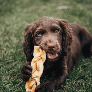 Beef Braid