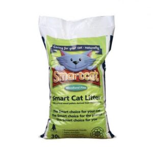 Smart Cat Wood Based Little